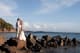 Bolongo Bay Beach Resort Weddings