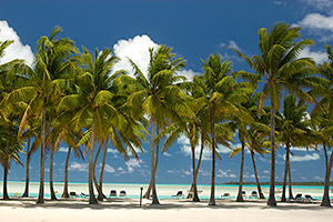 Cook Islands Beach