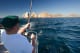 Los Cabos Sport Fishing