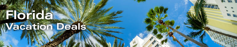 Palm Trees, Orlando Florida