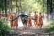 Cambodia Monks with buffalo in Cambodia