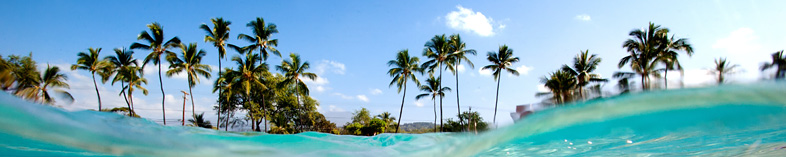 2019 Hawaii Vacations