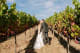 Four Seasons Resort and Residences Napa Valley Vineyard Wedding