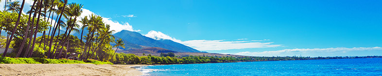 2020 Hawaii Vacations