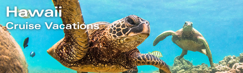 Sea Turtles, Hawaii