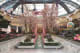 Bellagio Las Vegas Conservatory & Botanical Garde