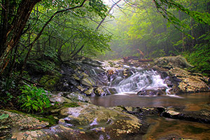 Waterfalls in white oak canyon in Shenandoah national park near Front Royal, Virginia