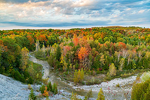 Rouge National Urban Park in autumn