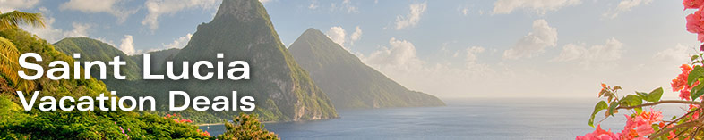 View of Twin Pitons with flowers, St Lucia, Caribbean