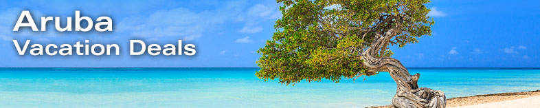 Aruba Divi-Divi Tree on beach