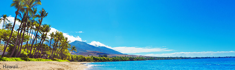 Hawaii Beach Vacations