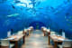 Conrad Maldives Rangali Island Undersea Restaurant