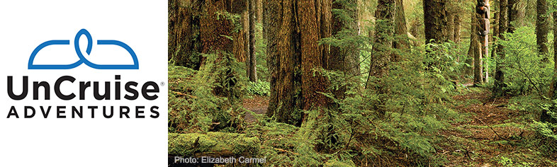 Alaska Forest