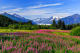 Alaska Springtime in Juneau