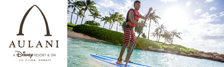 Disney Aulani Paddle Board