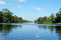 Tortuguero Adventure