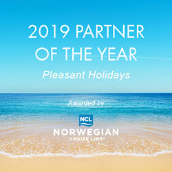 NCL 2019 Partner of the Year