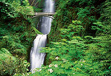 A Pacific Northwest Adventure