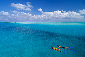 Bahamas Snorkel