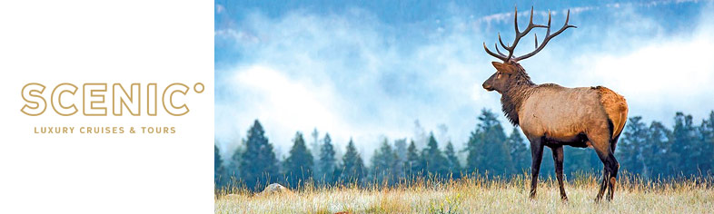 Wildlife in Rocky Mountains, Scenic Cruises