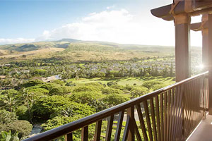 Standard View Room