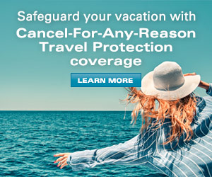 Travel Protection Plans