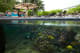 Hilton Hawaiian Village Waikiki Beach Resort Kids' Aquarium