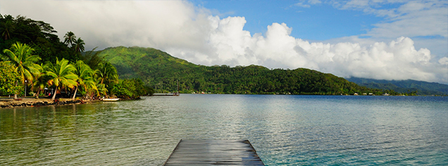 South Pacific Cruises