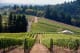Southern Oregon Wine Vineyard in Oregon