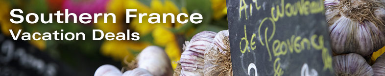 Flowers and garlic at local market in Southern France