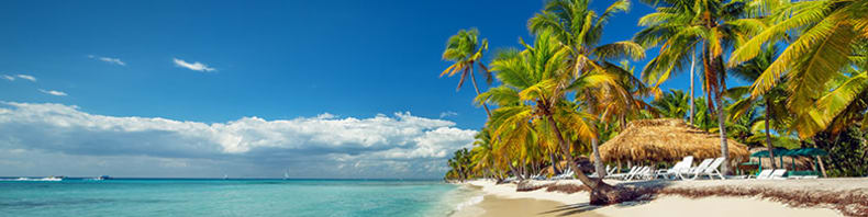 Pristine Caribbean beach with palms