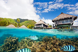 Overwater bungalow in Moorea, Tahiti