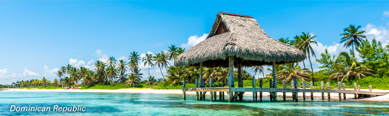 Dominican Republic beach with palms