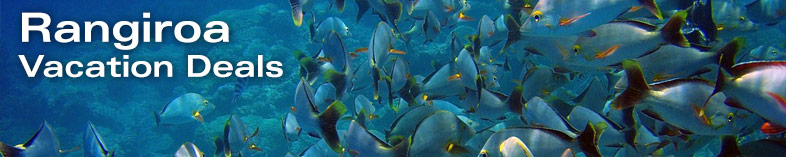 School of fish underwater in Rangiroa, Tahiti